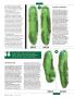 Page: - 70 | Golf Digest