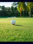 Page: - 90 | Golf Digest