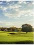 Page: - 49 | Golf Digest