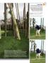 Page: - 81 | Golf Digest