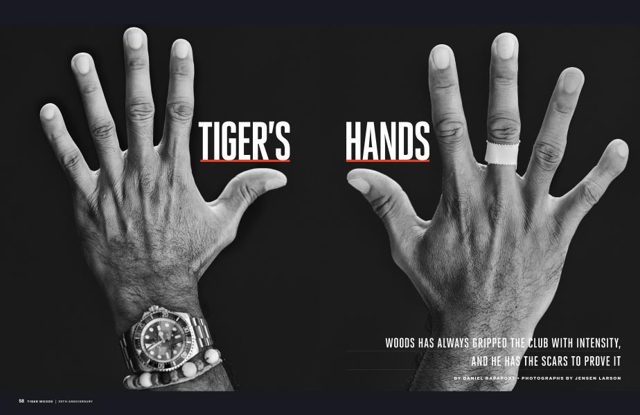TIGER'S HANDS