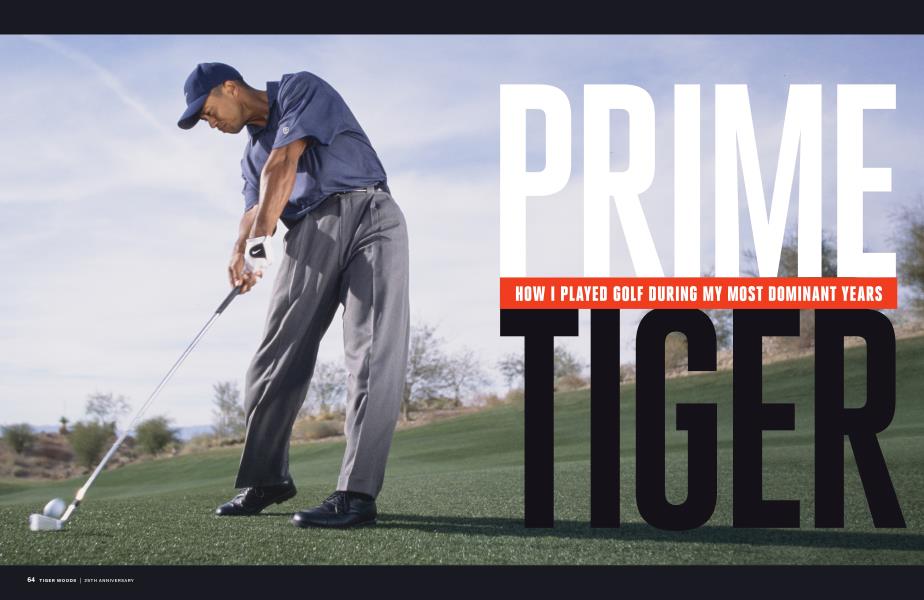 PRIME TIGER