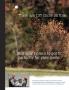 Page: - 38 | Golf Digest