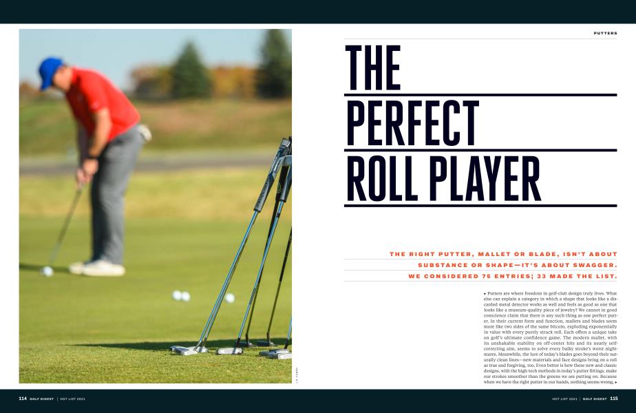 THE_ PERFECT ROLL PLAYER