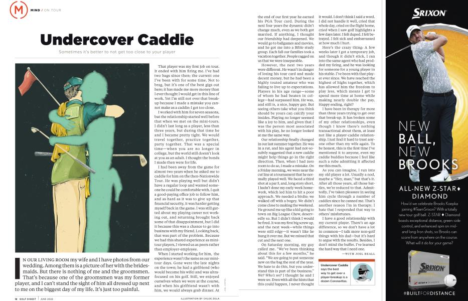 Undercover Caddie