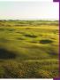 Page: - 49 | Golf Digest