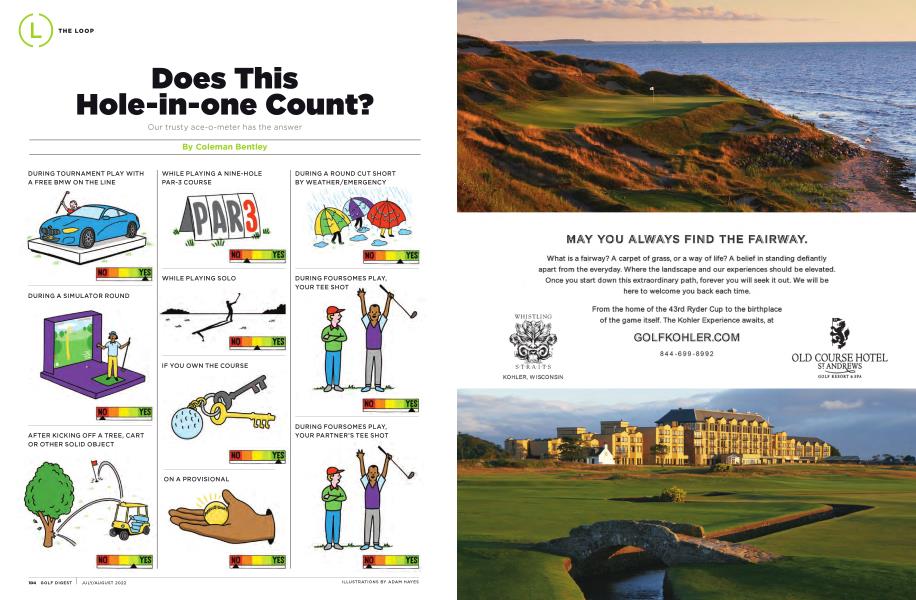 Does This Hole-in-one Count?