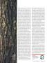 Page: - 15 | Golf Digest