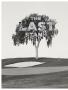 Page: - 50 | Golf Digest