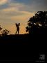 Page: - 7 | Golf Digest