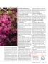 Page: - 19 | Golf Digest