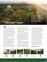 Page: - 11 | Golf Digest