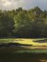 Page: - 40 | Golf Digest