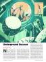Page: - 16 | Golf Digest