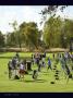 Page: - 20 | Golf Digest