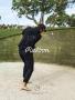 Page: - 85 | Golf Digest