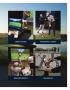 Page: - 3 | Golf Digest