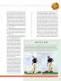 Page: - 39 | Golf Digest