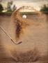 Page: - 120 | Golf Digest