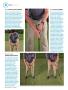 Page: - 108 | Golf Digest