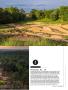 Page: - 41 | Golf Digest