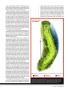 Page: - 95 | Golf Digest