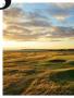 Page: - 60 | Golf Digest