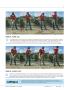 Page: - 37 | Golf Digest