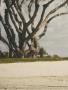Page: - 28 | Golf Digest