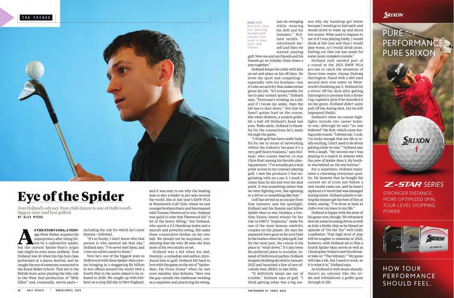 Eye of the Spider