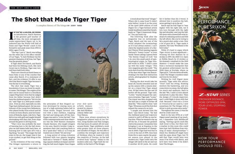 The Shot that Made Tiger Tiger