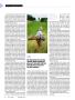 Page: - 20 | Golf Digest