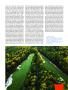 Page: - 92 | Golf Digest